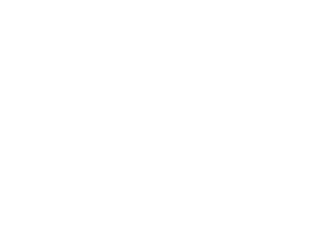 First Data Connect